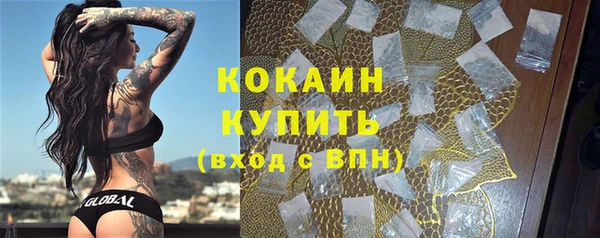 сатива Балахна
