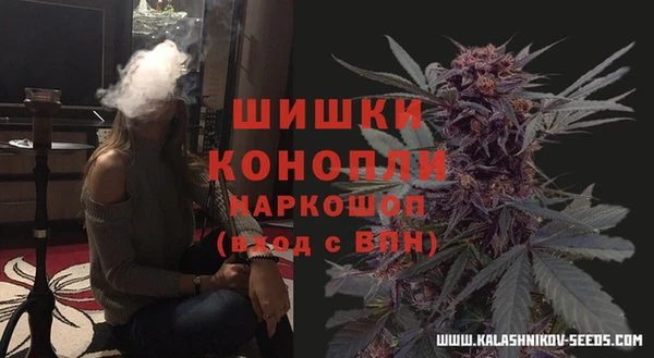 сатива Балахна