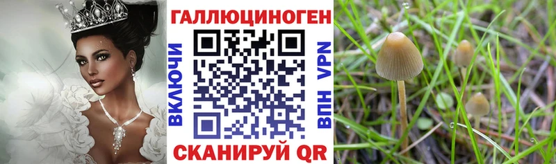 Псилоцибиновые грибы ЛСД  Билибино 